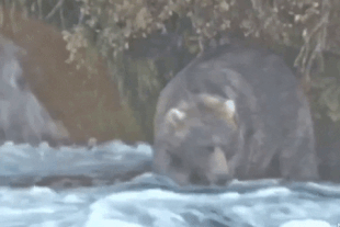 89 Backpack September 24, 2021 gif by LunaCre .02