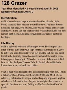 128 Grazer in the 2016 Bears of Brooks River book ~ page 35 (info only)