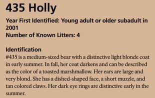 435 Holly's page of the 2018 Bears of Brooks River book, page 51 ~ Identification section only