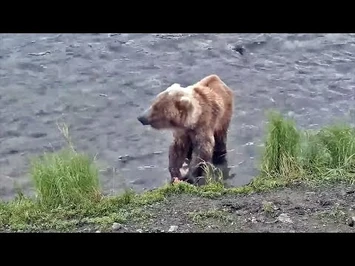 10_Jul_2021-_Another_Look_at_811_(explore.org)