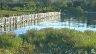 LR_402_With_2_Yearling_and_719_"Princess"_2016-06-30_by_Erum_Chad_(aka_Erie)-2