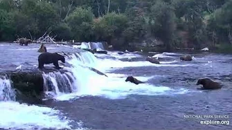 7_Aug_2019_Ten_Big_Bears,_video_by_mckate