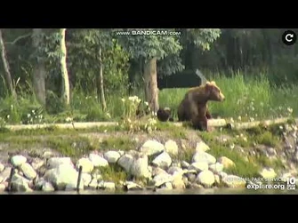 94_shows_off_Mom_superpowers_2022_07_13_expore.org