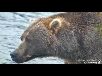 (Long)_89_-_Explore.org_September_27,_2022