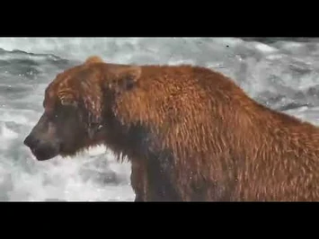 856_-_Explore.org_July_31,_2022-2