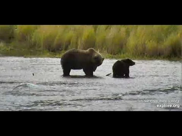 811_and_coy_LR_sept_7th_2020