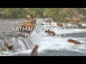 Play_by_Play_8.4.22_-_Brooks_Live_Chat