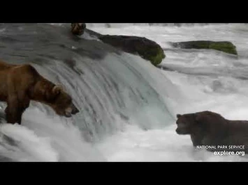 Live_Bear_Broadcast_Booth!_-_MIKE_FITZ-Naomi_Boak_go_Play_by_Play_at_Brooks_Falls!_July_8th,_2021