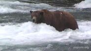 489 Ted during the 2013 season; snapshot by Cloud