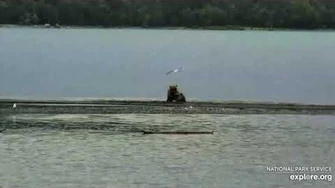 435_Holly_playing_with_her_Coy_7_16_2020,_video_by_Lani_H