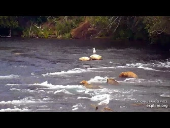 13_Jul_2020-_Everybody_Snorkel!