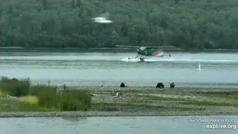 284_&_435_cubs_playdate_LR_7_12_2020,_video_by_Cruiser-0