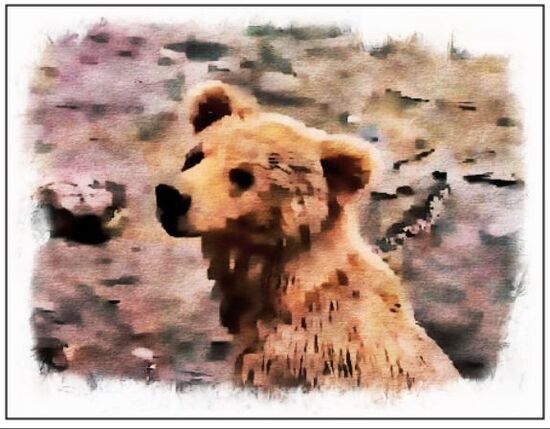 ARTWORK PIC 2022.06.27 HONEYBEAR27 p 15.18