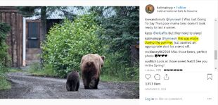 KNP&P's November 9, 2018 instagram post ~ highlighted area confirms that Ranger Russ made the photo in the summer of 2018