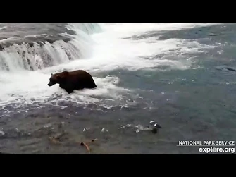 19_Sep_2023-_503_Arrives!_(explore.org)