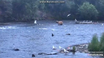 903_Maybe_at_the_Falls_2020-07-13_00-12-53-592,_video_by_Birgitt