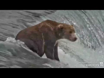 903_-_August_19,_2022_(explore.org)