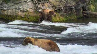 89 Backpack (near) with 83 Wayne Brother (far) June 30, 2016 snapshot by Jen