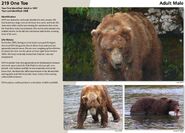 219 One-Toe's page of the 2015 Bears of Brooks River book, page 79