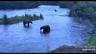 89_Backpack_confronts_unknown_7_16_2018_appx_5_30am_AK,_video_by_Lani_H