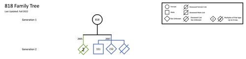 Family-tree-rq-818