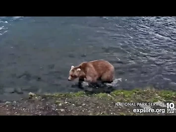 28_Sep_2022-_131_Passes_Through_the_Falls_(explore.org)