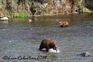 856 (near) and 812 (far) September 10, 2019 photo by Lisa Robertson (aka Larinor)