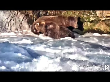 30_Sep_2022-_89_Objects_to_99's_Exit_Plan_(explore.org)