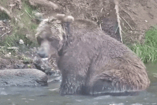 27 September 23, 2021 gif by LunaCre