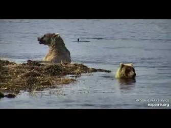 435_and_cub_-_Explore.org_September_22,_2021-2