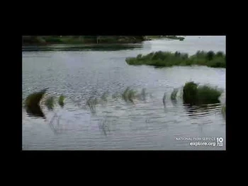 Brooks_LR._39_alone?_7.14.22