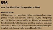856's page of the 2017 Bears of Brooks River book, page 81 ~ Identification