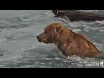 89_Backpack_in_the_Jacuzzi_-_July_24,_2022_(explore.org)