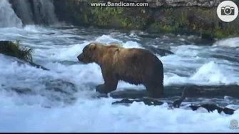 Backpack_for_Posting_real_7_4_2017_late_night_by_Ratna_(not_7_5_2017)