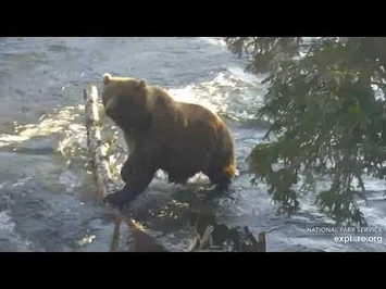 811_and_coy_10-12-2020