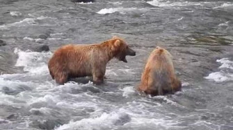 Bear_Showdown_89_Backpack_&_274_Overflow_by_Mocha-0