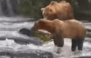 99 July 1, 2022 gif by NYCSteve