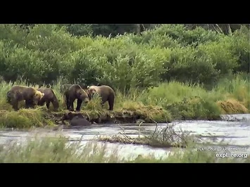 3_Aug_2020-_Everybear_Greets_912