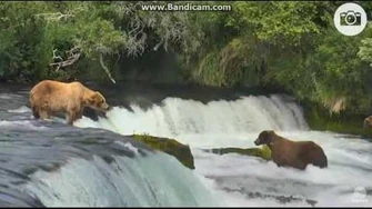 Backpack_on_the_falls_and_Chunk_below_July_7,_2016_by_Ratna