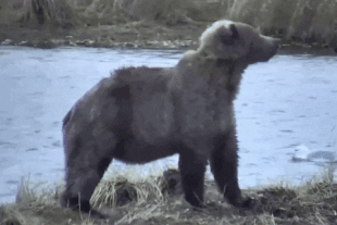 224 October 8, 2021 gif by LunaCre