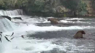 856_moving_to_the_far_pool_7_17_2020,_video_by_Lani_H