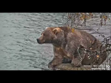 89_-_Explore.org_October_8,_2022-2