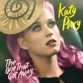 The One That Got Away (song)