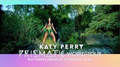 Katy_Perry_-_The_Prismatic_World_Tour-1385570688
