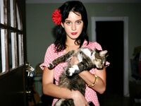 Katy perry and kitty purry.jpg