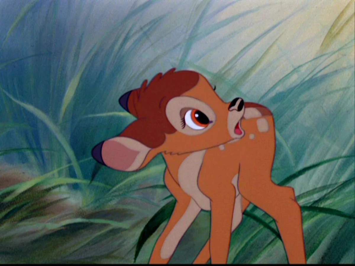 Bambi's World | Kayla Mcnatt Wiki | Fandom