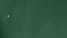 CT High School Grade 1, Class 27