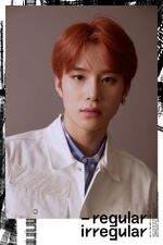 Jungwoo (Regular-Irregular) 2