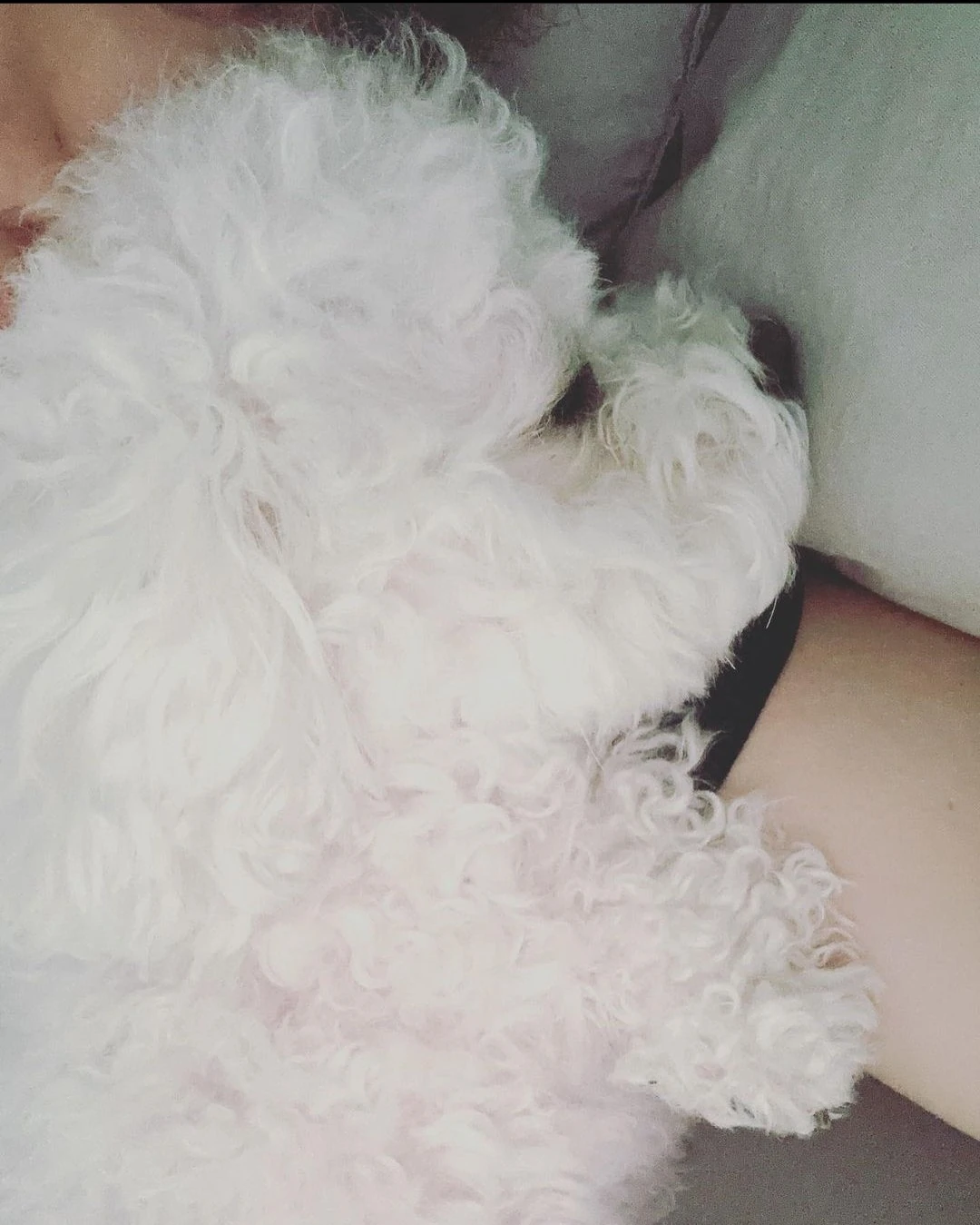 Daegal/Gallery | NCT Wiki | Fandom