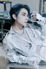 Xiaojun Diamonds Only (1)